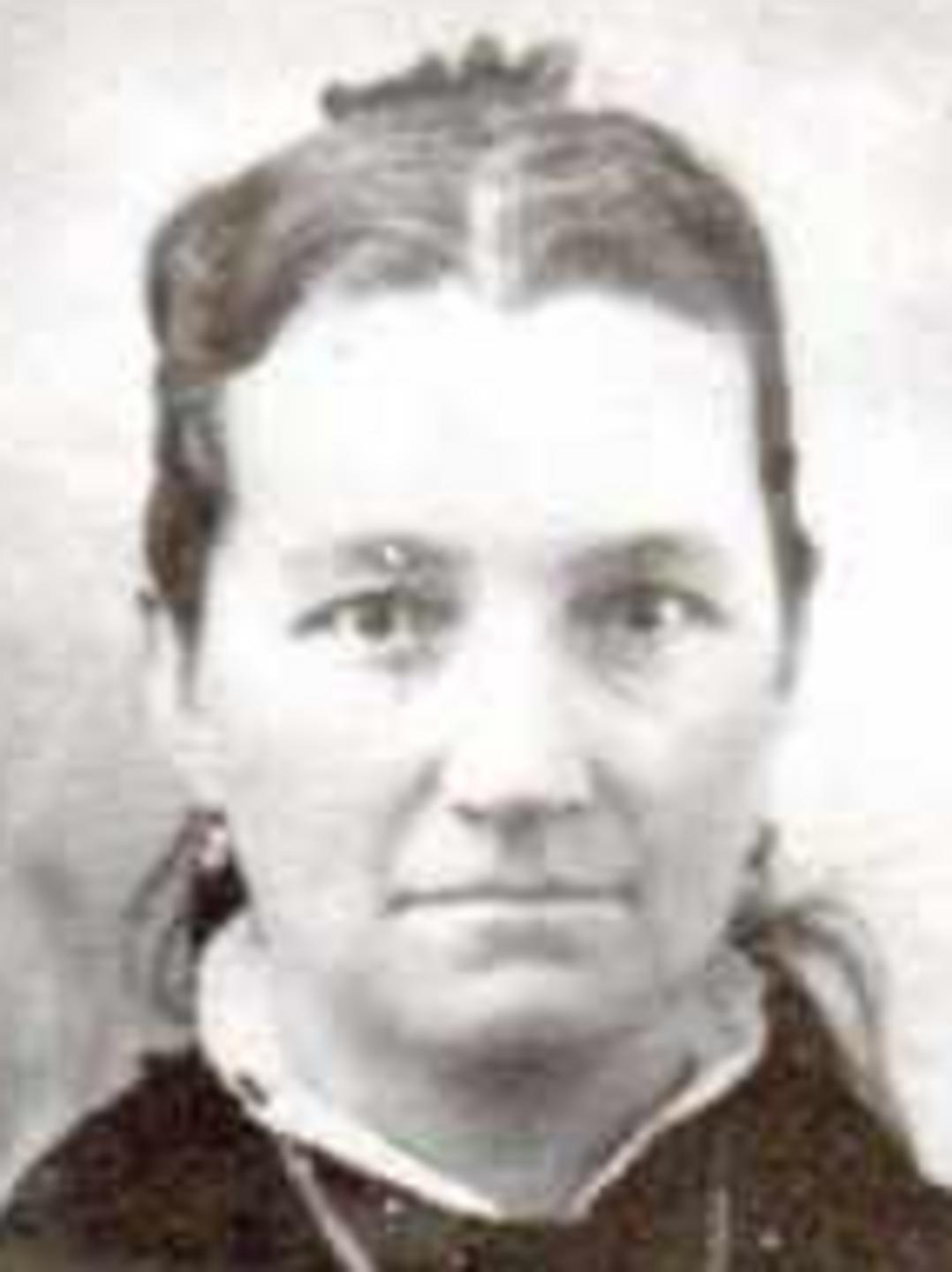Lydia Rebecca Davis (1850 - 1932) Profile